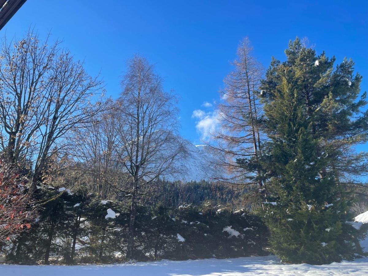 W4 Haus Ganghofer Lägenhet Leutasch Exteriör bild