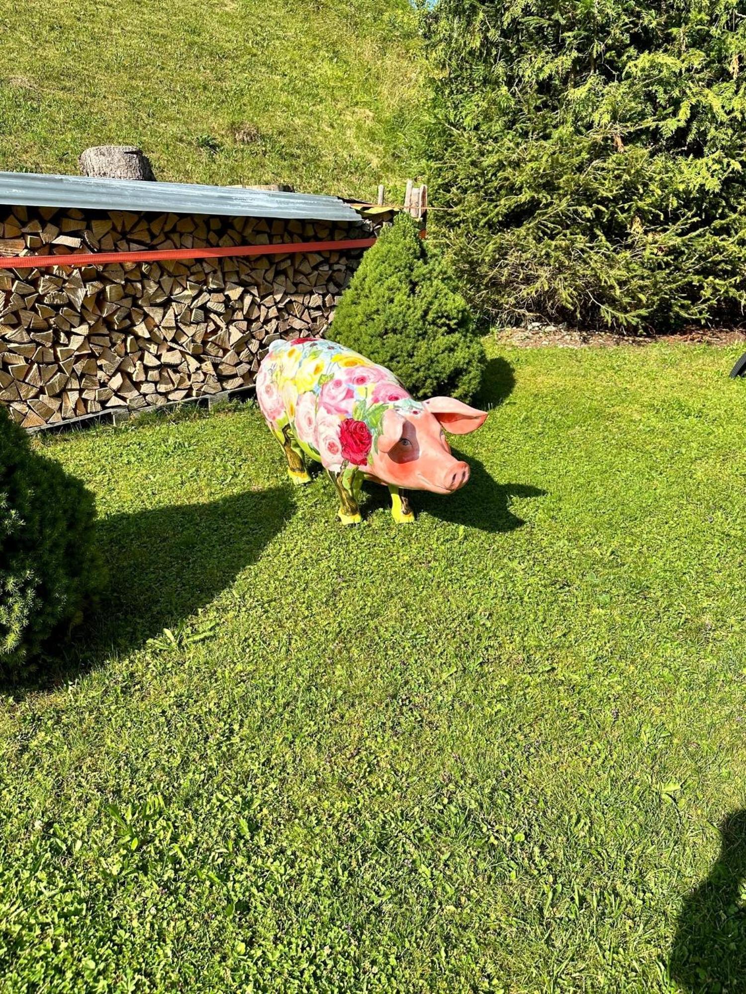 W4 Haus Ganghofer Lägenhet Leutasch Exteriör bild